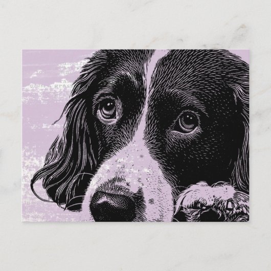 hond briefkaart (Voorkant)
