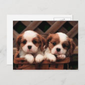 hond briefkaart (Voorkant / Achterkant)