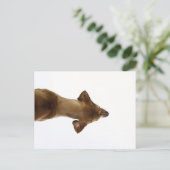 hond briefkaart (Staand voorkant)