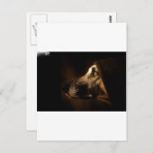 hond briefkaart (Voorkant / Achterkant)