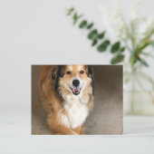 Hond Briefkaart (Staand voorkant)