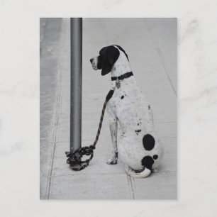 Hond Briefkaart