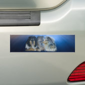 hond bumpersticker (Op auto)