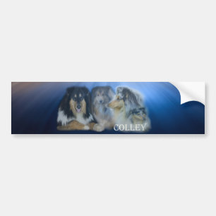hond bumpersticker