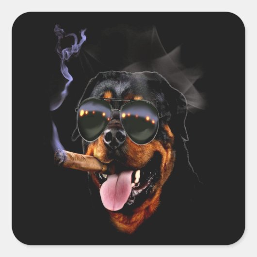 Hond cadeau | Kleine rottweiler buddy Vierkante Sticker (Voorkant)