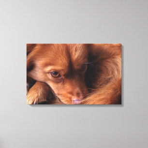hond canvas afdruk