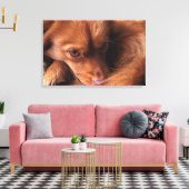 hond canvas afdruk (Insitu (Woonkamer))