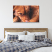 hond canvas afdruk (Insitu (Slaapkamer))