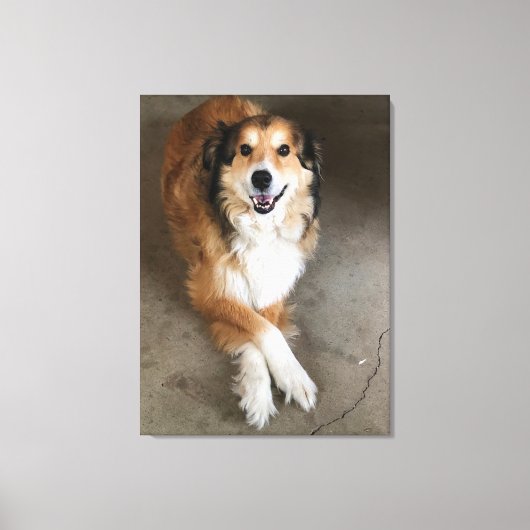 Hond Canvas Afdruk (Voorkant)
