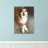 Hond Canvas Afdruk (Insitu (Houten vloer))