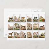 Hond Collectie in  stijl Briefkaart (Voorkant / Achterkant)
