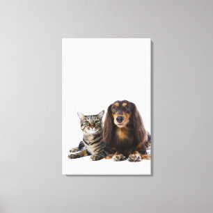 hond (Dachshund) en kat (Japanse kat) op wit Canvas Afdruk