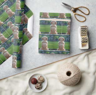 Hond die door een hek met kettingschakel kijkt cadeaupapier