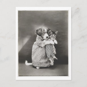 Hond die kat vasthoudt en kleding draagt  eigenaar briefkaart