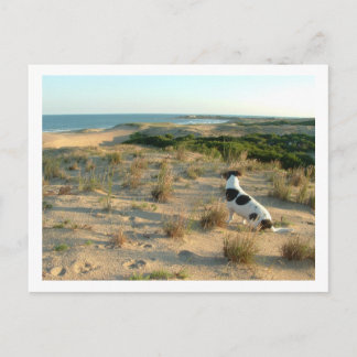 hond die naar het zee kijkt briefkaart