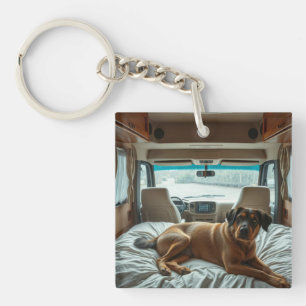 Hond die slaapt in het gezellige interieur van een sleutelhanger
