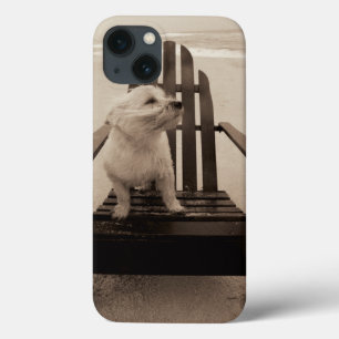 Hond die van het Strand genieten iPhone 13 Hoesje