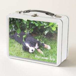 hond, dier, lunchbox, Hoesje, kleurrijk+ vaartuig,