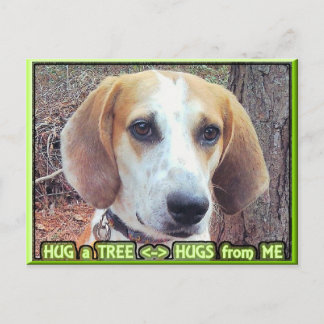 Hond Dog Tree Hugger Briefkaart