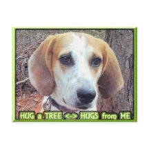 Hond Dog Tree Hugger
