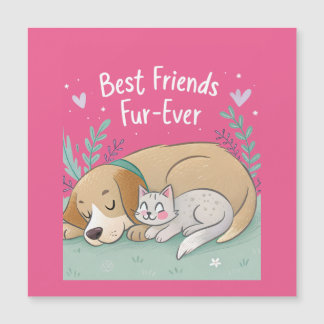 Hond en Kat Beste Vrienden Voor Altijd