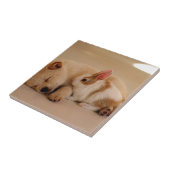 Hond en konijn tegeltje (Zijkant)