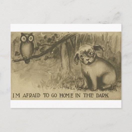 hond en uil briefkaart (Voorkant)