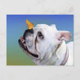 Hond en vlinder briefkaart