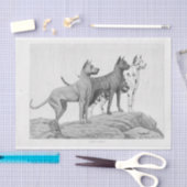  hond Ephemera Decoupage Grote Denen Tissuepapier (Craft)