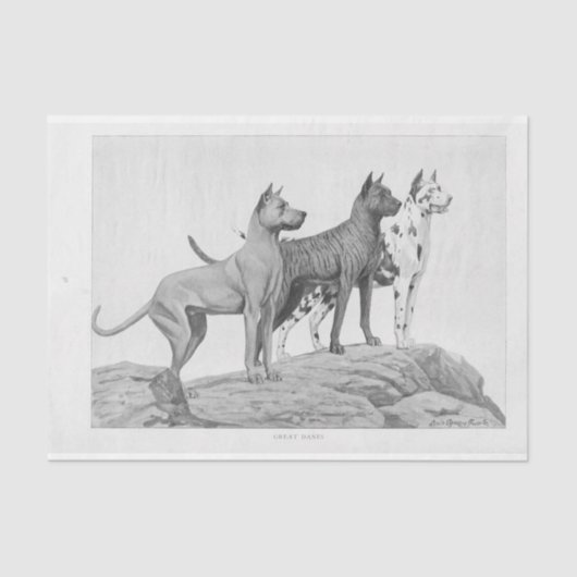  hond Ephemera Decoupage Grote Denen Tissuepapier (Voorkant)