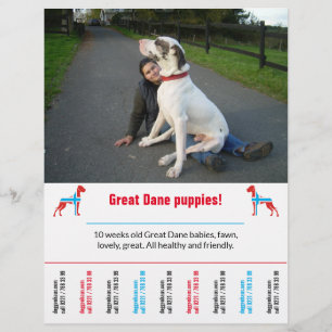 hond flyer sjabloon afdrukbaar