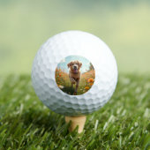 Hond foto huisdier golfballen (Insitu Shirt)