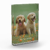 Hond Foto Mijn Bont Baby's Fotoblok (Links)