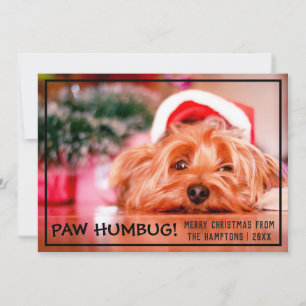 Hond Foto Paw Humbug Huisdier Kerstmis Feestdagenkaart