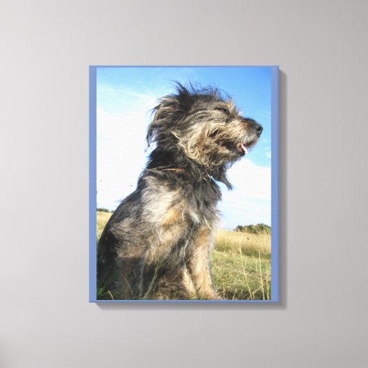 Hond foto single canvas afdruk (Voorkant)