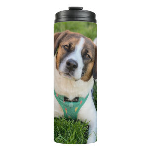 Hond Foto Voeg Je Foto Toe Thermosbeker