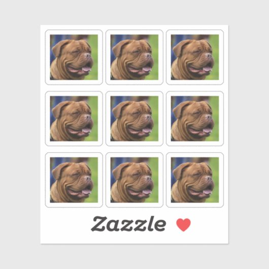 Hond Fotoportret DIY Sticker (Vel)