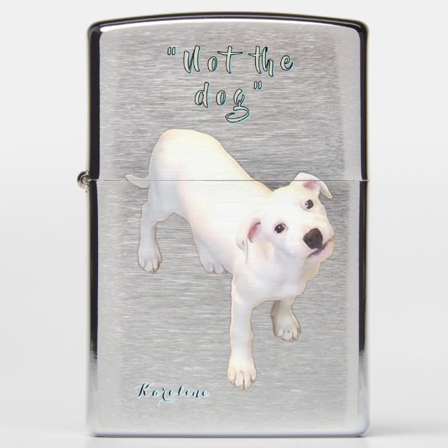 Hond Fun (Voorkant)