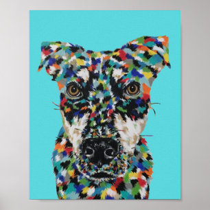 Hond Gemengd Ras Poster