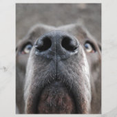 Hond Gevonden Afscheur strook Flyer (Achterkant)