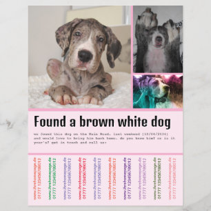 Hond Gevonden  Flyer