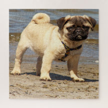 hond, gezelschapsdier, schattig dier, ras, puzzel,