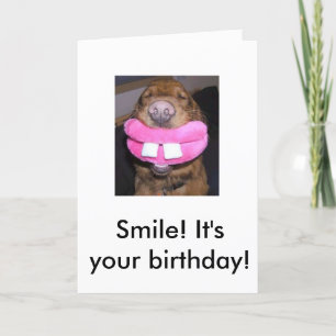 Hond glimlach, glimlach! Het is jouw verjaardag! Kaart