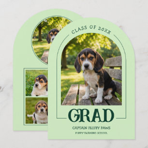 Hond Graduatie Feest Uitnodiging Huisdier Foto's B