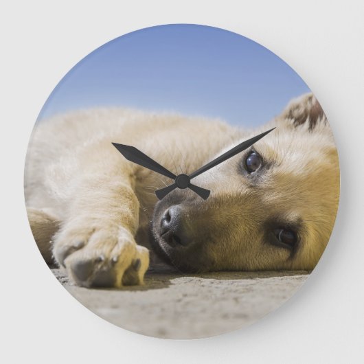 hond grote klok (Voorkant)