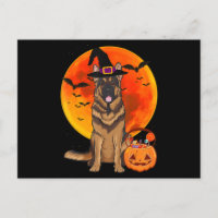 Hond Halloween Duitse Herder Jack Lantern Pompoen