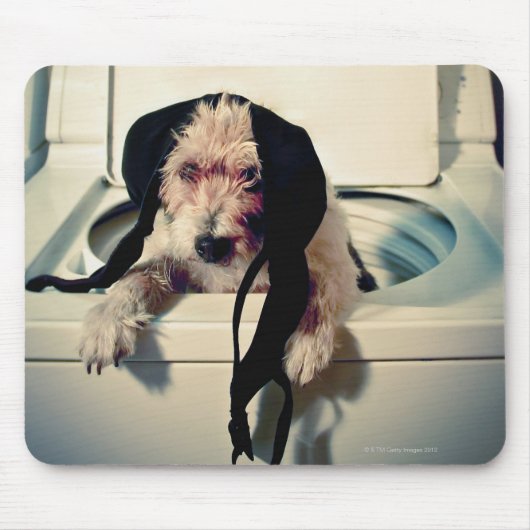 Hond helpt bij het wassen muismat (Voorkant)
