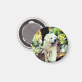 Hond, huisdier, hond magneet (Voorkant / Achterkant)