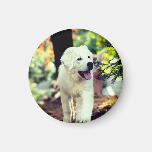 Hond, huisdier, hond magneet (Voorkant)