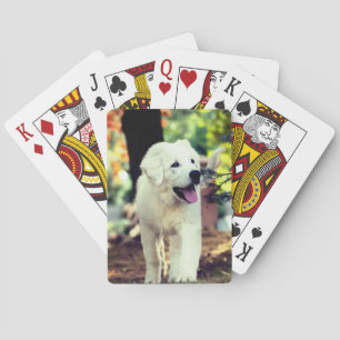 Hond, huisdier, hond pokerkaarten